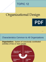 Organizational Design Basics