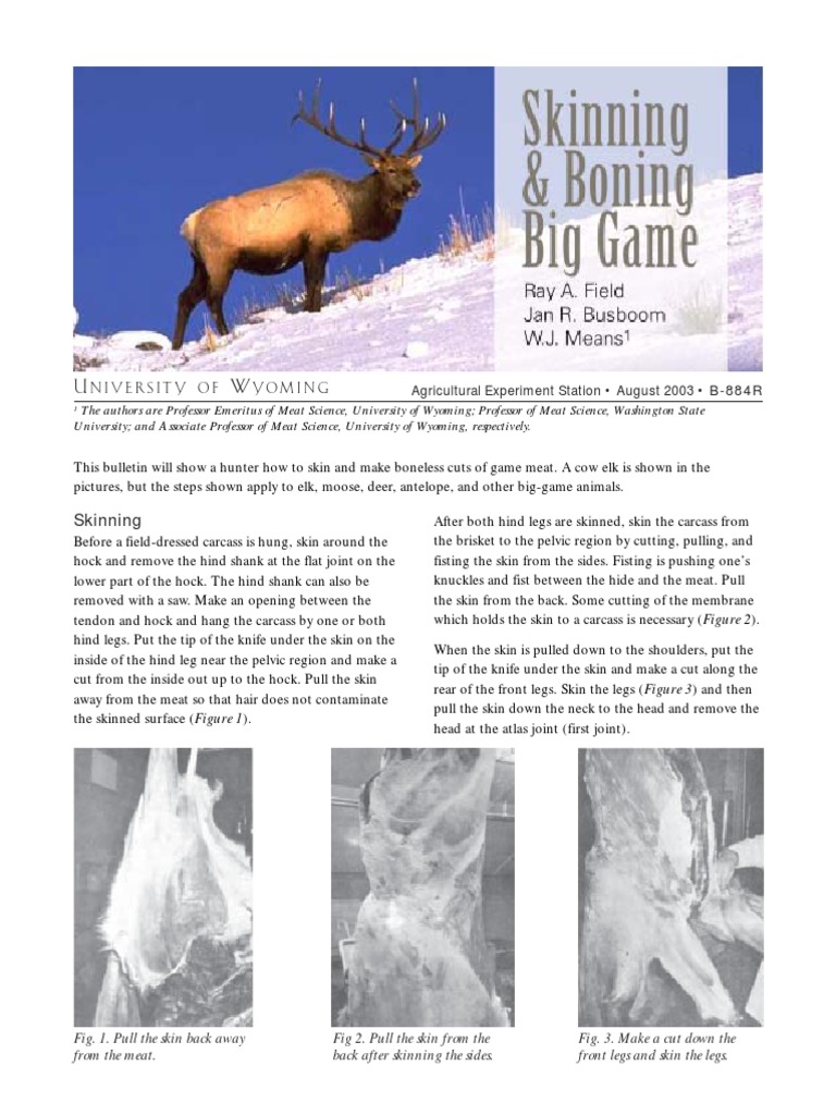 Butchering Skinning Wild Game PDF PDF Steak Deer