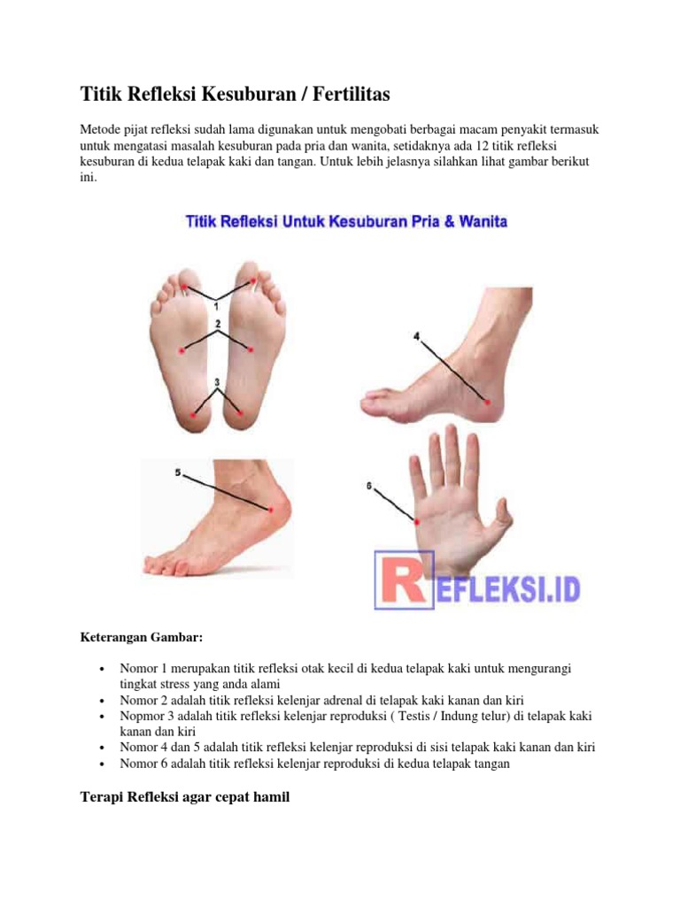 Titik Refleksi Kesuburan Pdf