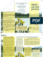 Jury Nullification Brochure