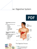 K1 - Digestive System - Overview