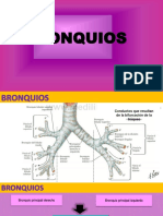 Aplicación de Partículas de Quitosano en El Aislamiento in Vitro de ADN en Orina