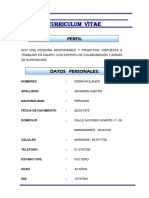 Curriculum Vitae