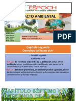 Impacto Ambiental Constitucion Del Ecuador