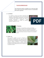 Plantas Medicinales