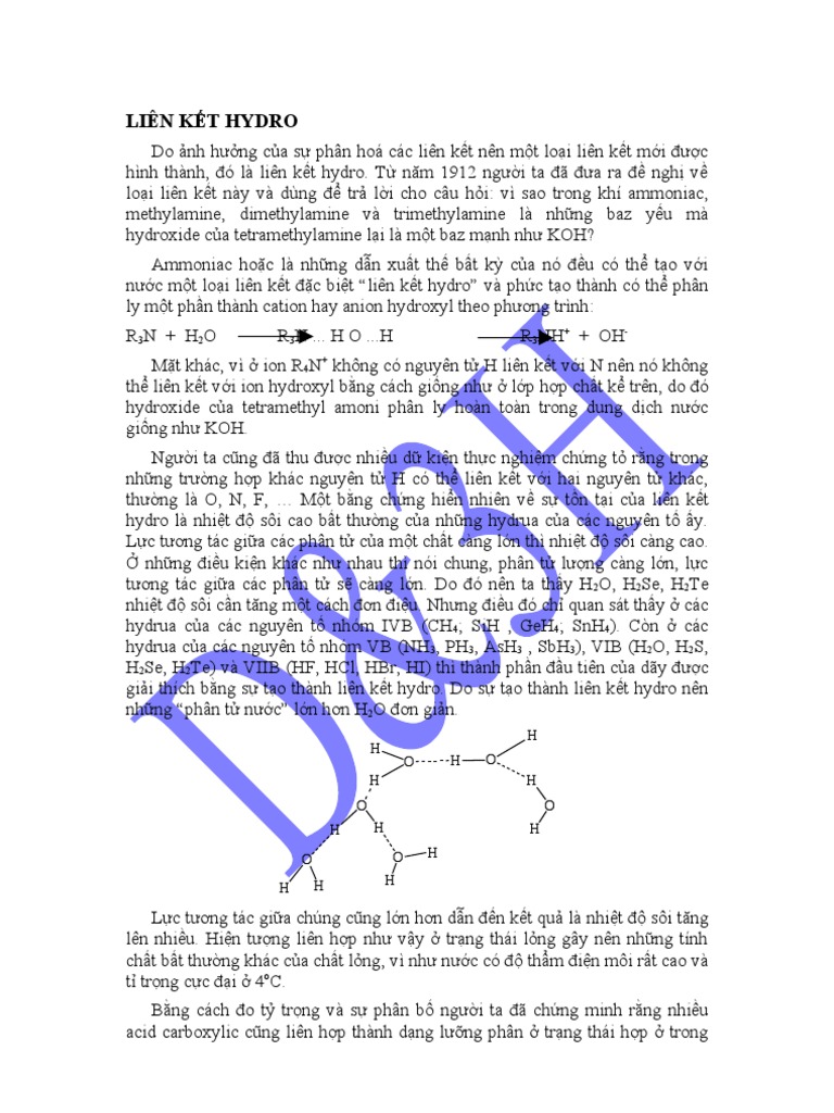 LIÊN KẾT HYDRO | PDF