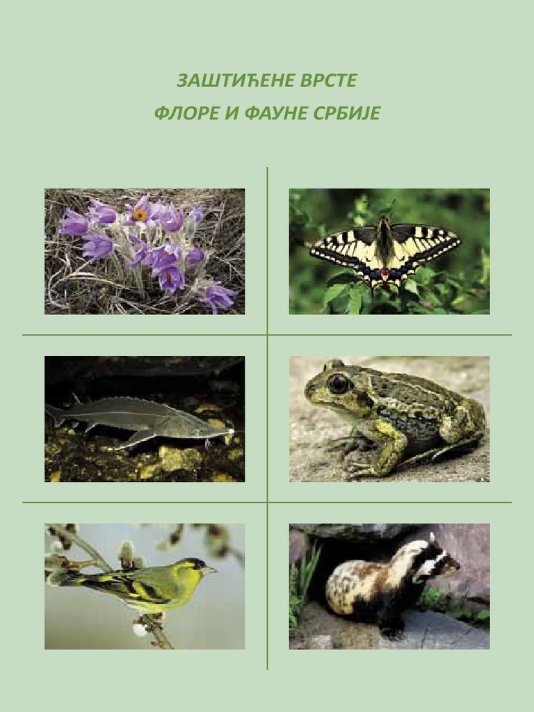 Zasticene Vrste | PDF