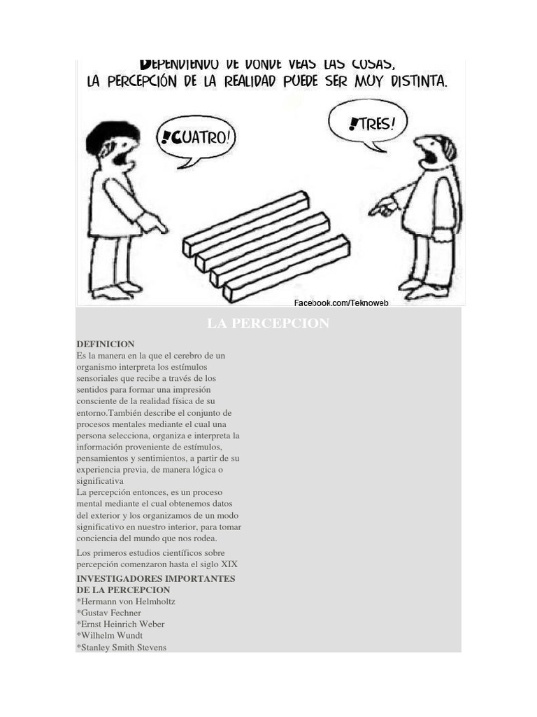 Procesos y Tipos de Percepción | PDF | Percepción visual | Percepción