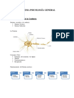 Esquema Psi General Unidad 3 PDF