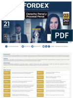 Brochure - Ii - Derecho Penal y Procesal Penal PDF