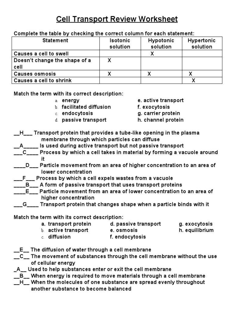 Cell Transport Review Worksheet  PDF  Osmosis  Cell Membrane In Passive Transport Worksheet Answers