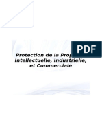 Protection de La Propriété Intellectuelle, Industrielle, Et Commerciale