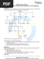 Unit 2 DOS and Windows Assignment