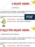 Ecosistema Bosque Andino.pdf