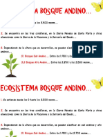 Ecosistema Bosque Andino PDF