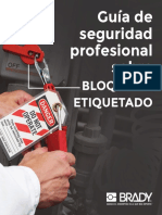 Guía-de-Seguridad-Profesional-sobre-Bloqueo-y-Etiquetado.pdf