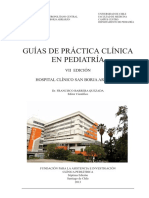guia practica clinica 2013 hsba.pdf