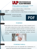 Cuidado de Enfermeria A La Mujer Puerpera en Complicaciones Uap