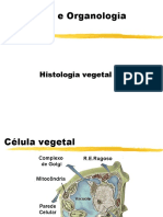 Hist Veg