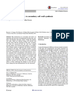 Transition of Primary To Secundary Wall Synthesis