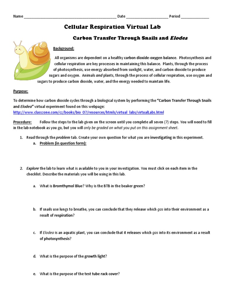 2019 ap biology free response answers image