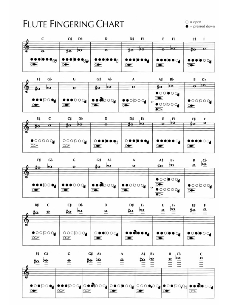 Flute Fingering Chart | PDF