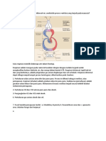 LKM RESPIRASI FISWAN