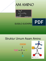 Asam Amino