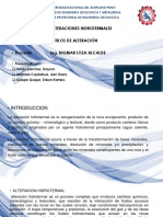 AH - I - 5 - Estilos de Alteracion - 100918 PDF