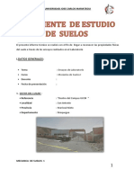 densidad in situ.pdf
