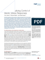 Alternative Splicing Control of Abiotic Stress Responses: Review