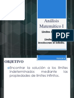 AM1-04-Límite Infinito.pdf