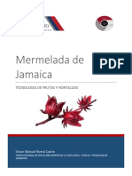 Reporte P1 Mermelada de Jamaica