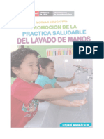 ME Lavado de Manos PDF