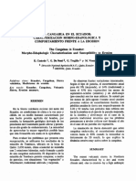 Cangahua PDF