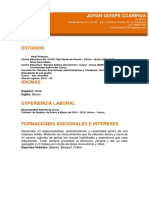 8 Curriculum Vitae Profesional Naranja