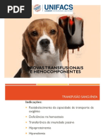 Transfusão Sanguinea