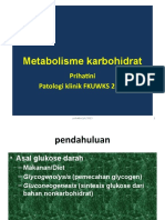 Metabolisme karbo