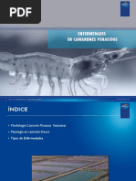 Enfermedades en camarones