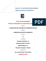 Planeacion Del Proceso de Comercializacion Iris Documento (1)