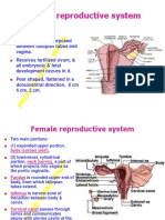 Female Reproductive System: Uterus