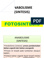 ANABOLISME - Fotosintesis