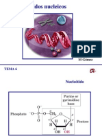 Tema 6