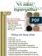 Vi Nam Aspergillus Va Benh Nam Aspergillosis