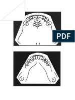 Dibujos PPR Caratulas Dientes