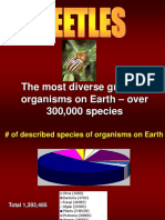 The Most Diverse Group of Organisms On Earth - Over 300,000 Species