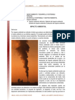 imacto ambiental.pdf