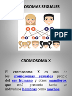 Cromosomas sexuales: X, Y y alteraciones