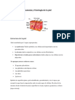 Anatomía y Fisiología de La Piel