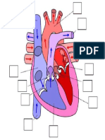 IMAGEN DEL CORAZON.pptx